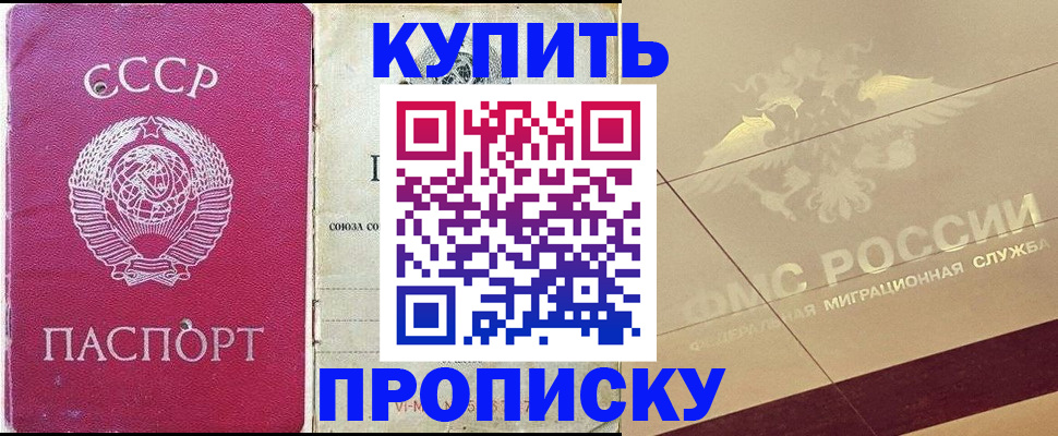 прописка для школы в Химках